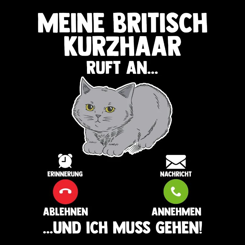 Britisch Kurzhaar Katze