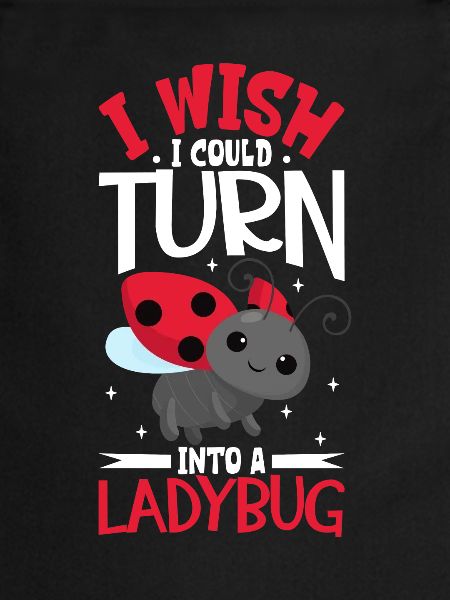 Ladybug Ladybug Entomology Insects