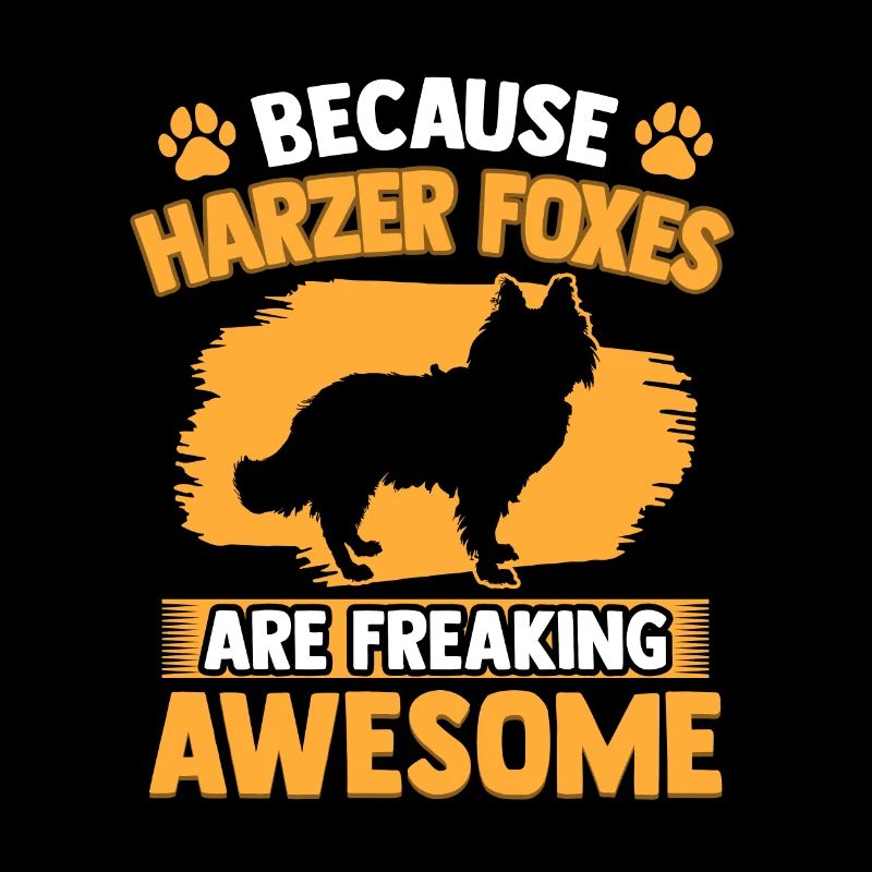 Harz fox is fantastic herding fox