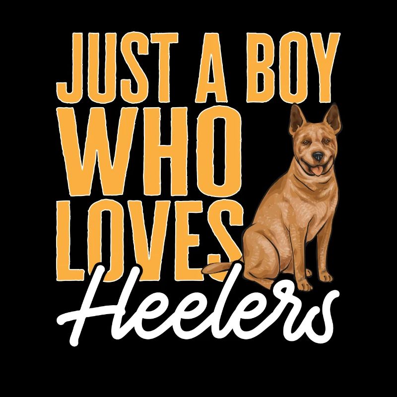 Bouvier australien Red Blue Heeler