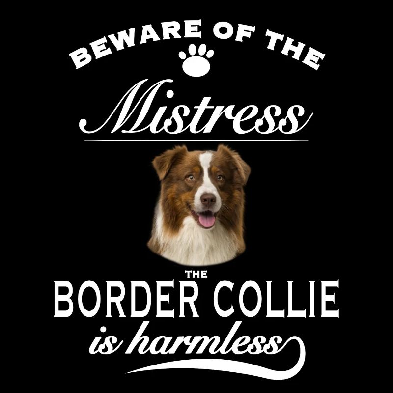 Beware of the Mistress, harmless Border Collie