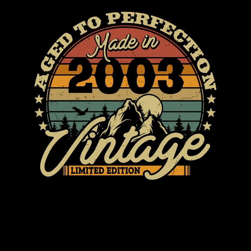 Vintage Retro Geburtstagsgeschenk 2003