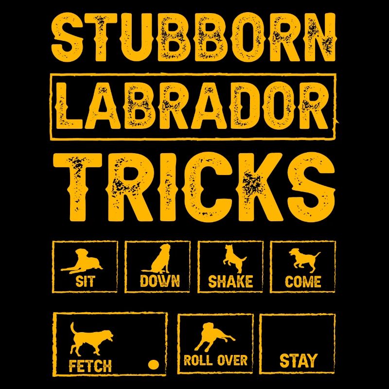 Stubborn labrador tricks