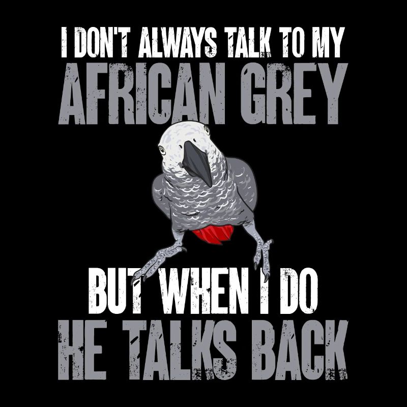 Graupapagei African Grey Parrot Papagei