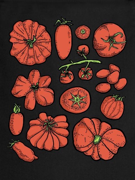 Tomatoes