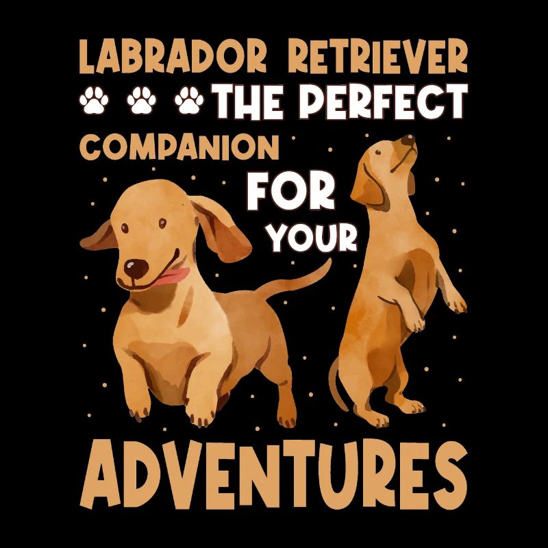 Labrador