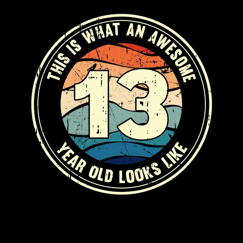 13. Geburtstag so sieht man mit 13 Retro Geschenk