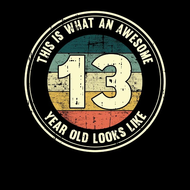 13. Geburtstag so sieht man mit 13 Retro Geschenk