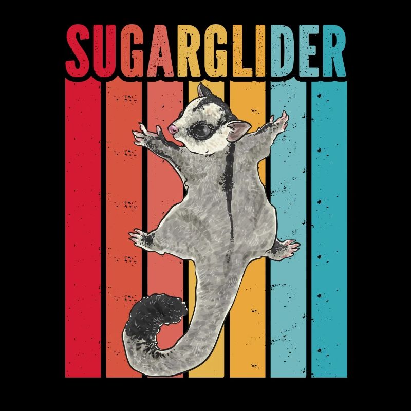 Kurzkopfgleitbeutler Sugar Glider