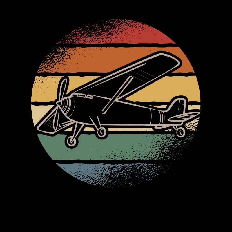 Remote Controlled Airplane Model Airplane