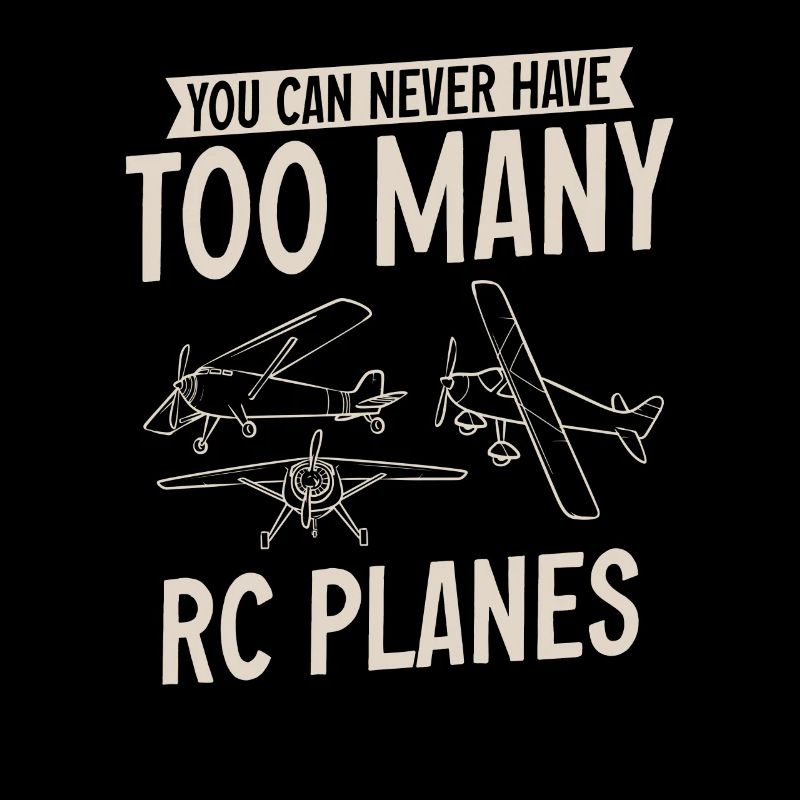 Remote Controlled Airplane Model Airplane