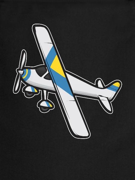 Modèle d’avion télécommandé