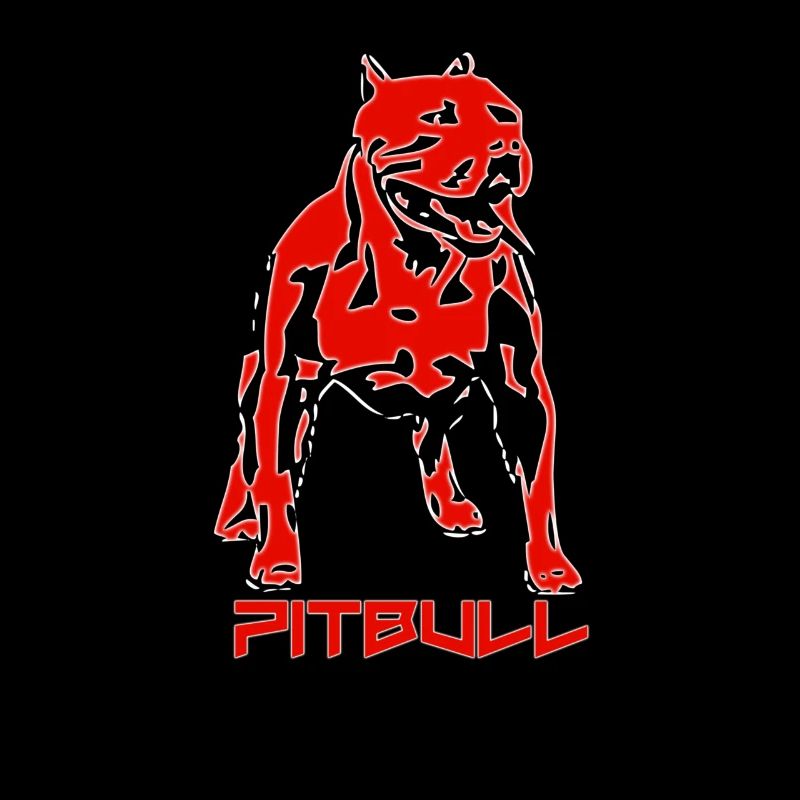 Pitbull