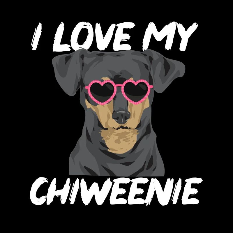 Chiweenie Dog