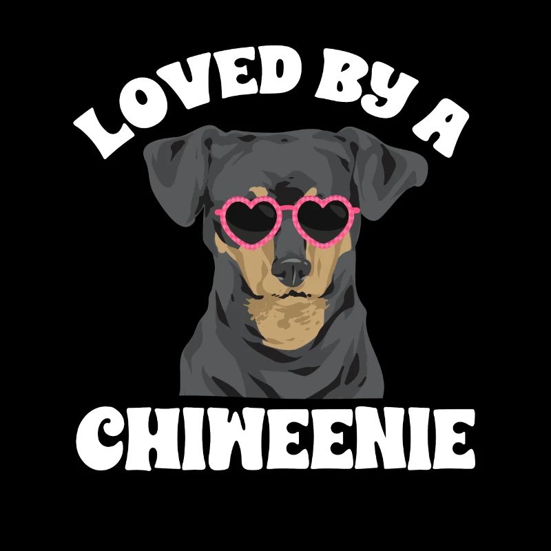 Chiweenie Dog