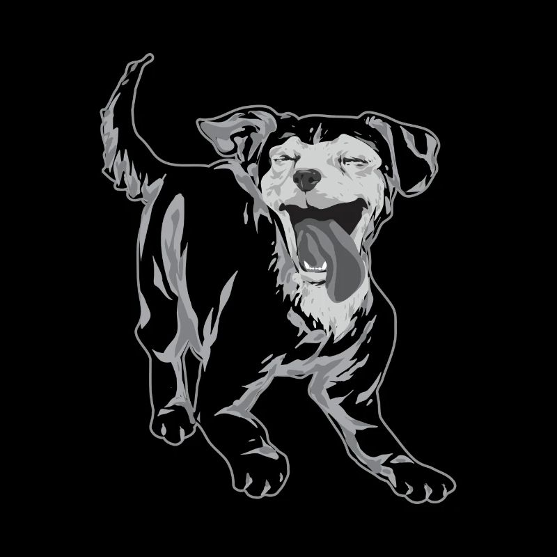 Chiweenie Dog