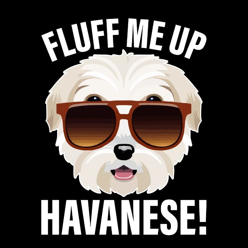 Fluff me up Havanese
