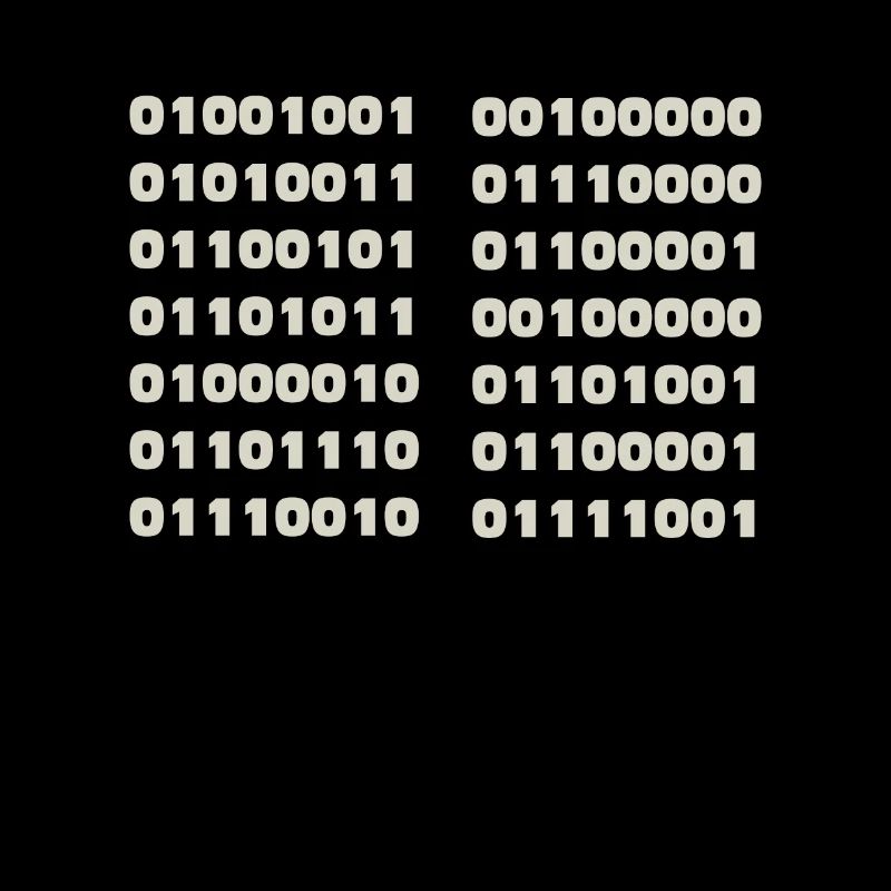 Ich Spreche Binär Code Lustiges Informatiker Coder
