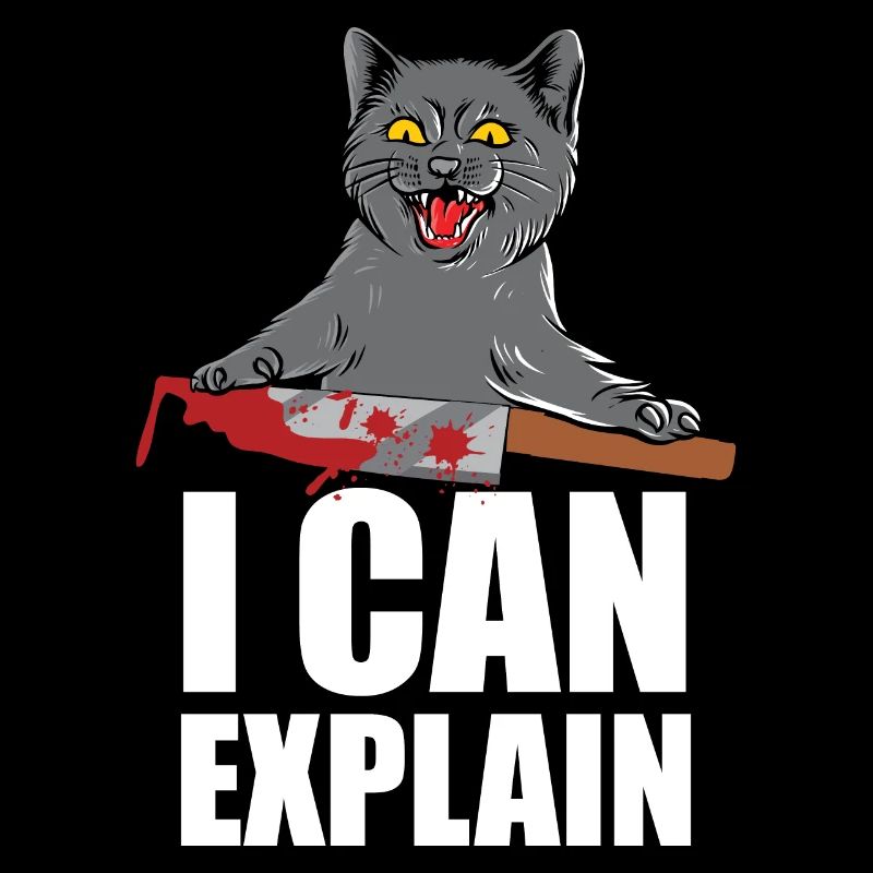 I Can Explain