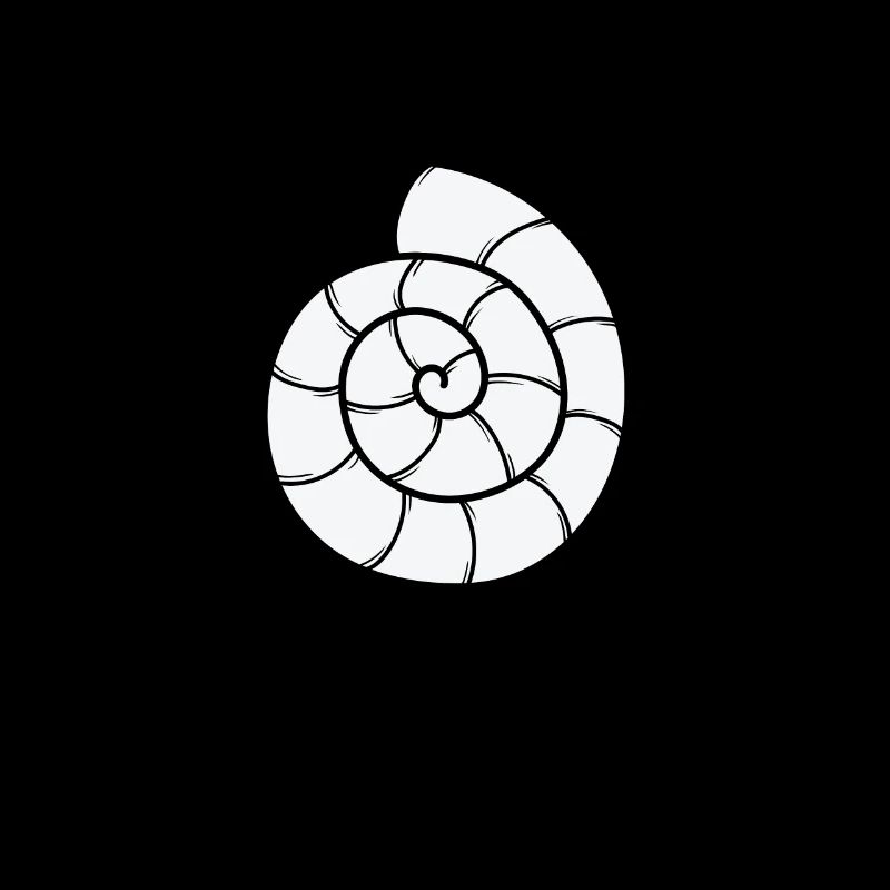 Snail Shell Spiral Snail