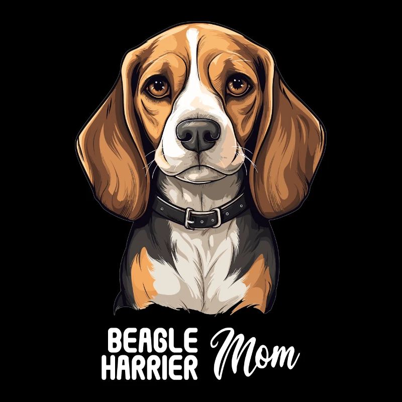 Hund Beagle Harrier