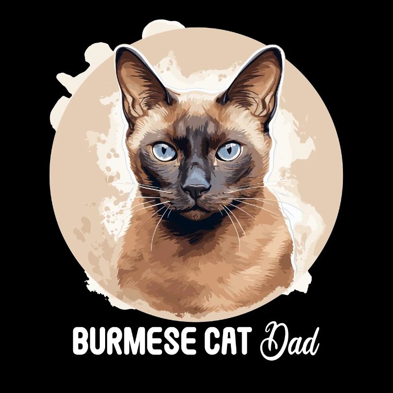 Chat birman Birmanie Katze