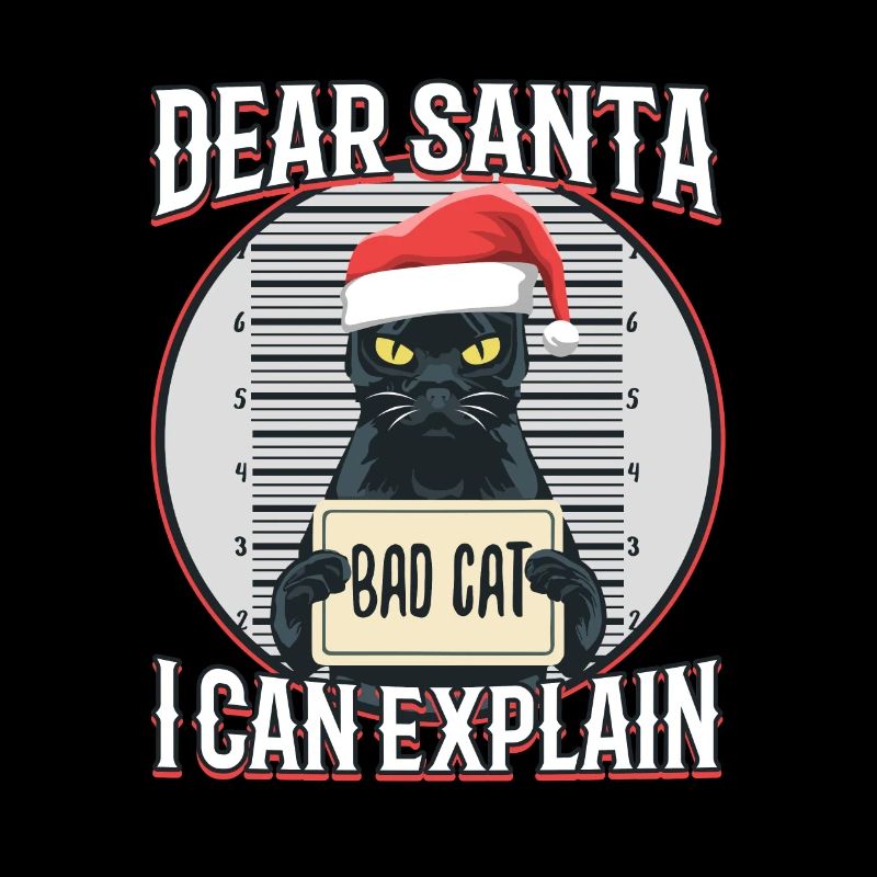 Cher Père Noël, je peux t’expliquer