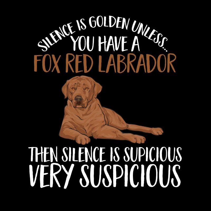 Foxred Labrador Fox Red Labrador Retriever