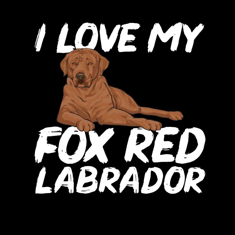 Foxred Labrador Fox Red Labrador Retriever
