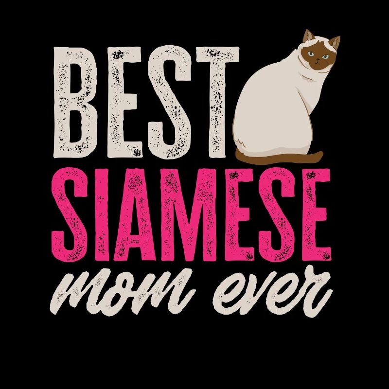 Siamese cat