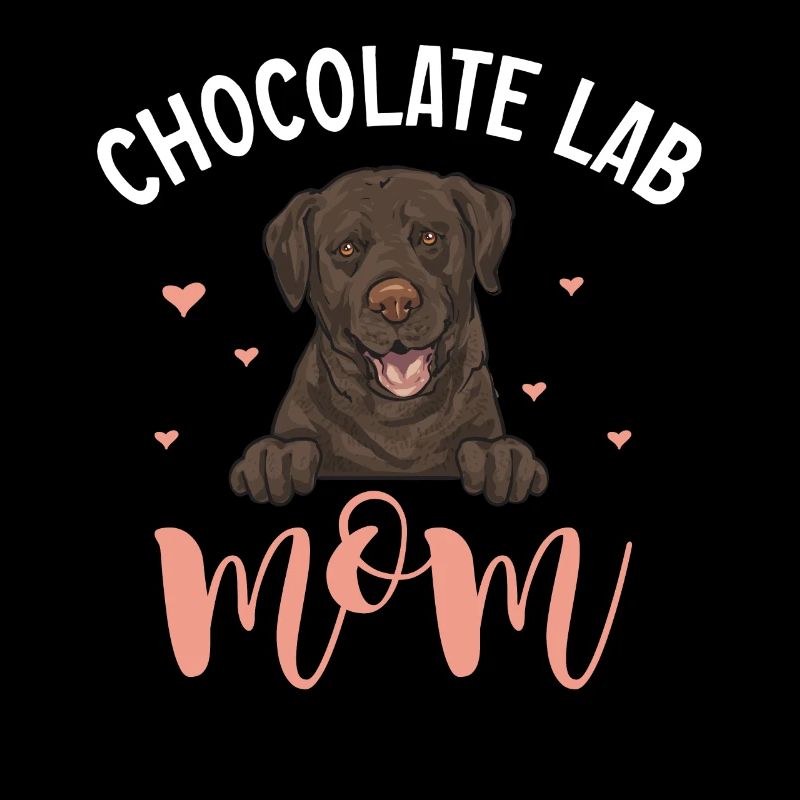 Chien Labrador Retriever chocolat