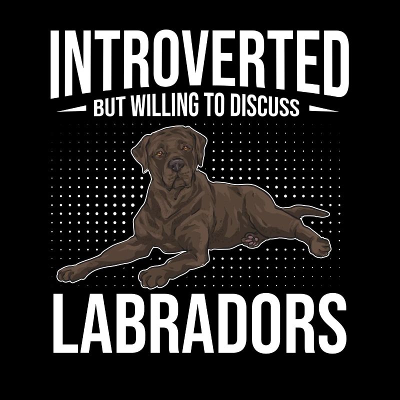 Chocolate Labrador Retriever Dog