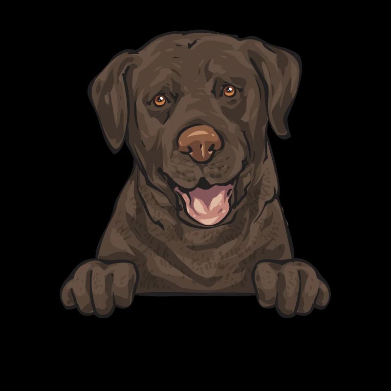 Chocolate Labrador Retriever Dog