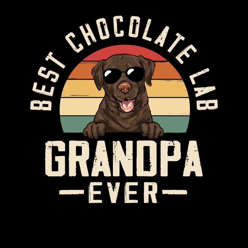 Chien Labrador Retriever chocolat