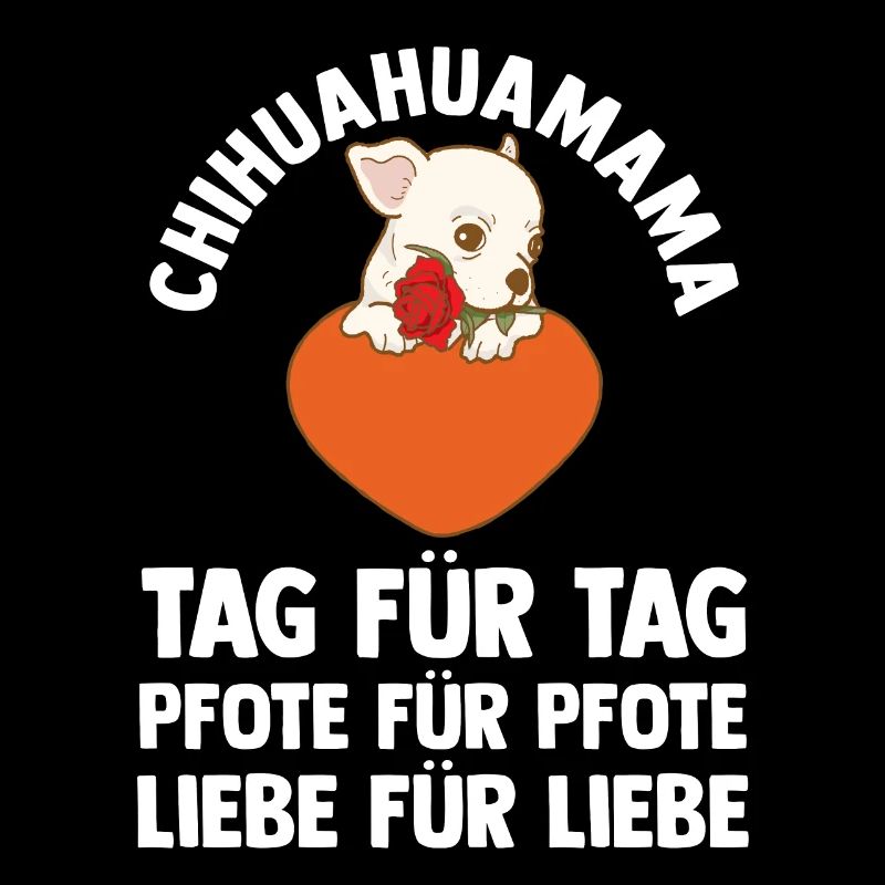 Hund Chihuahua