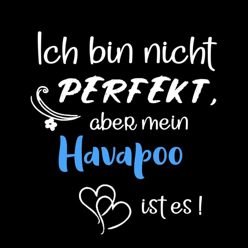 Perfekter Havapoo I Havaneser Pudel Mix