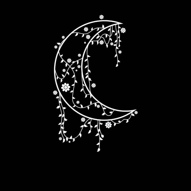 Decorated Moon Night Sky