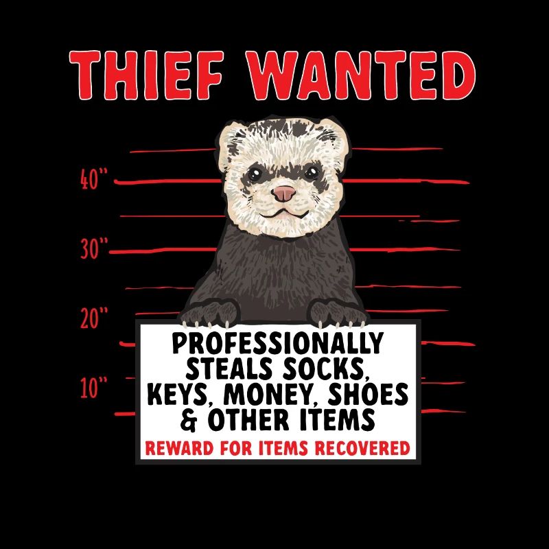 Furet, propriétaire de furet