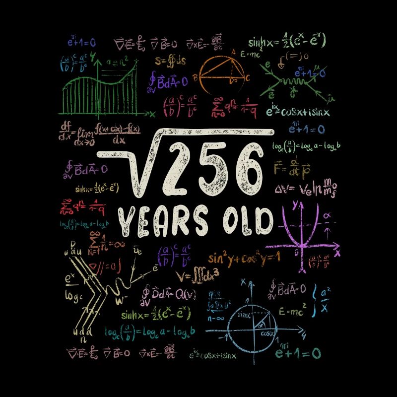 Root of 256 = 16th Birthday - Gift