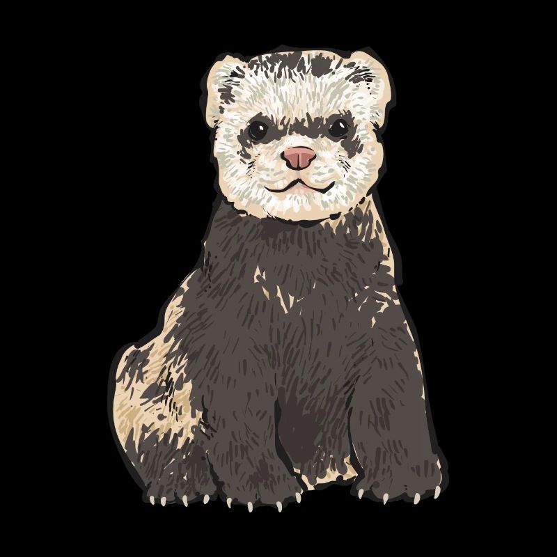 Frettchen Besitzer Frettchen