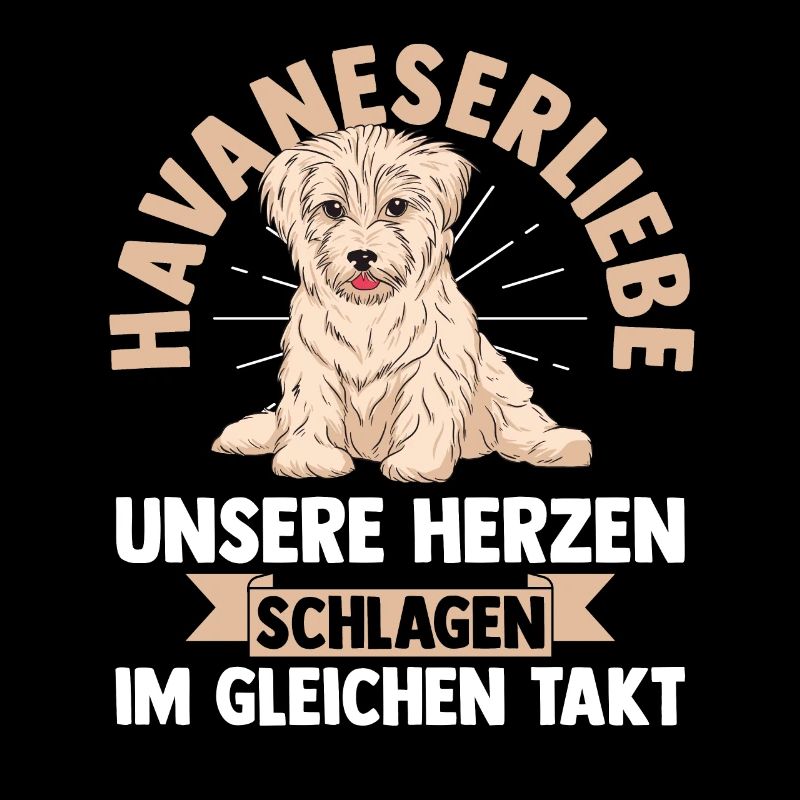 Hund Havaneser
