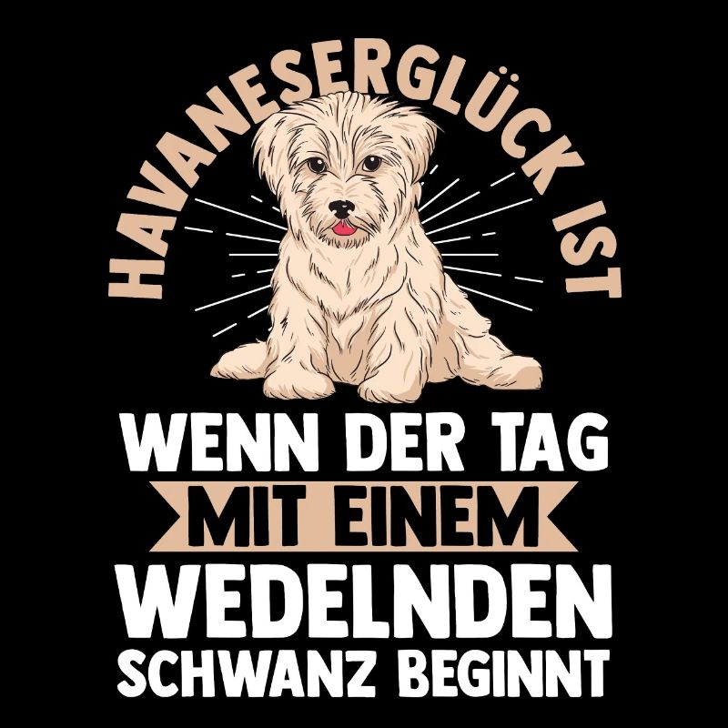 Hund Havaneser