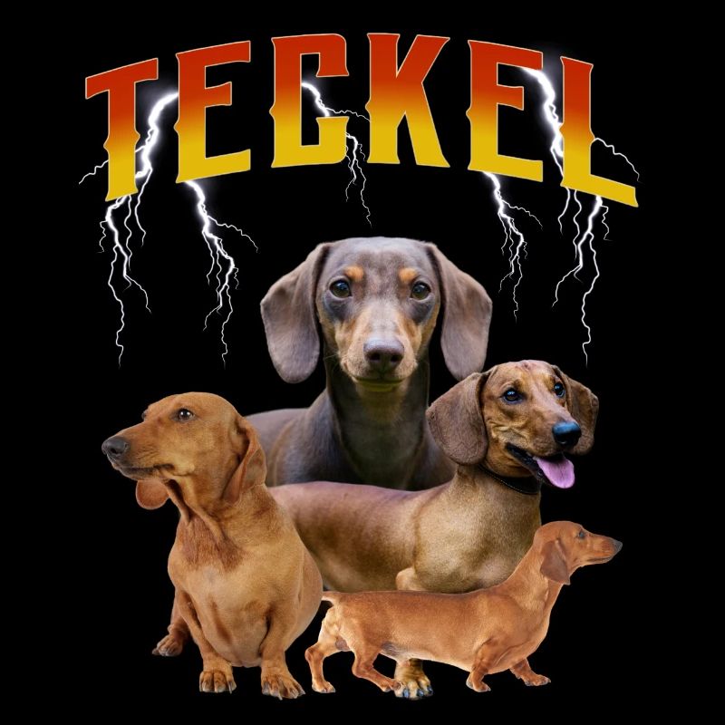 Teckel Chien de Légende