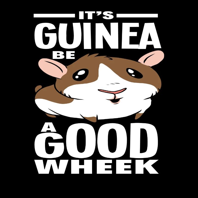 Cochon d’Inde Jeu de mots