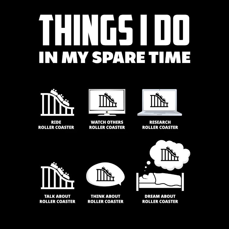 Roller coaster fan amusement park