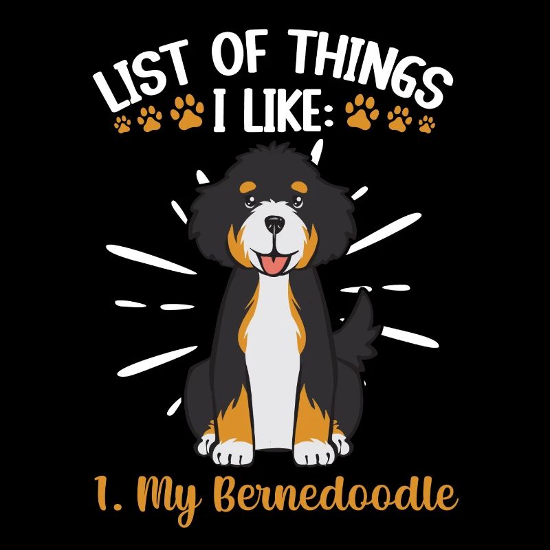 Bernedoodle Hund