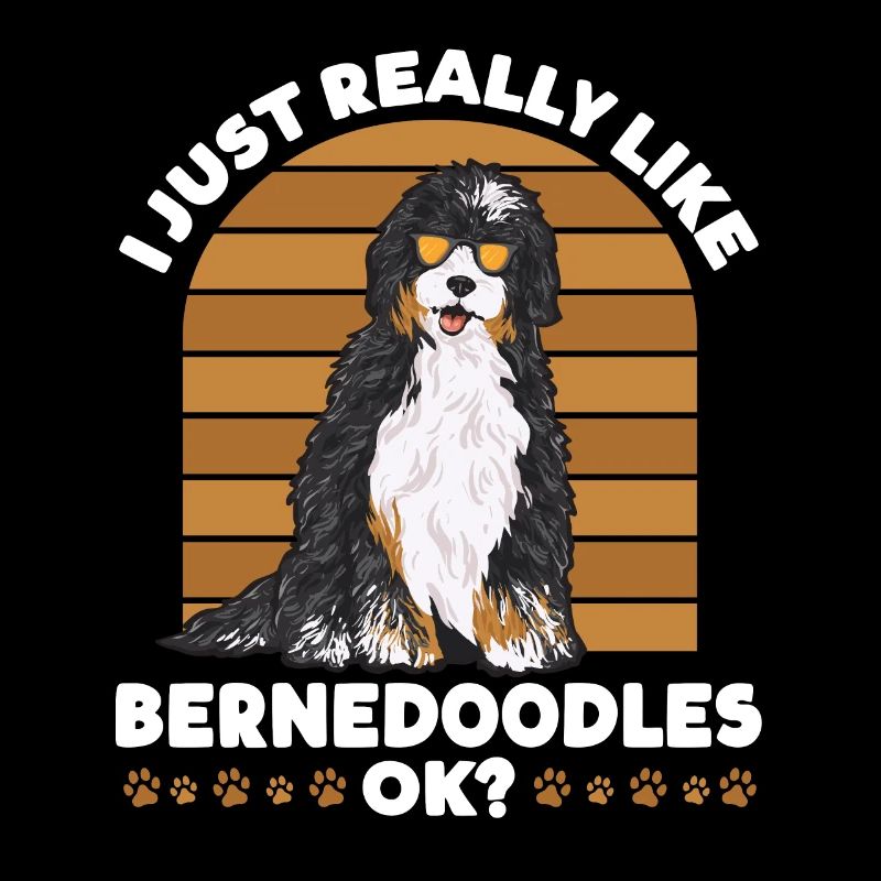 Bernedoodle Hund