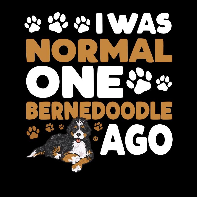 Bernedoodle Dog