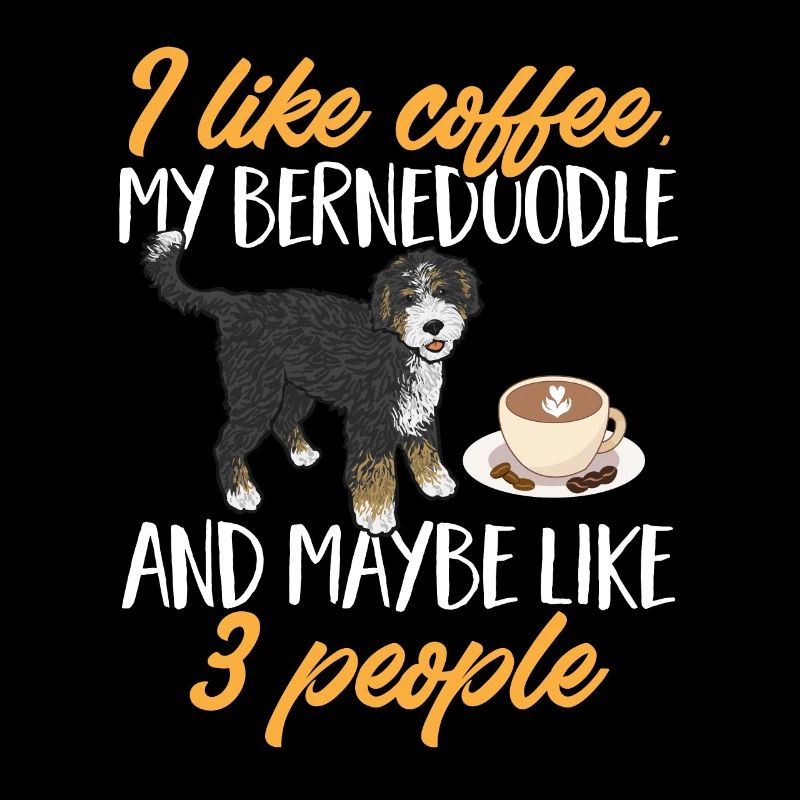 Bernedoodle Dog