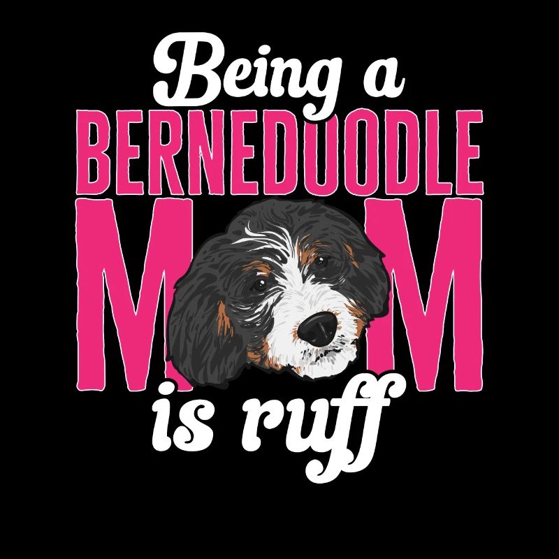 Bernedoodle Dog